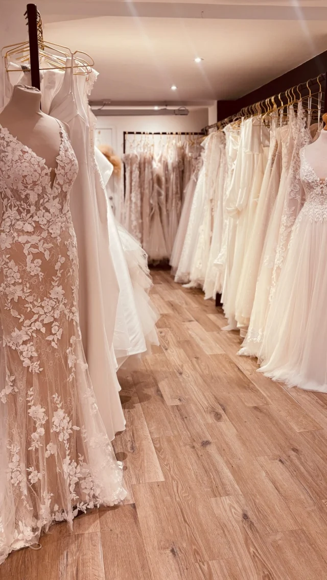 L O V E !

@watters 
@willowbywatters 
@wilderlybride 
@bylillianwest 
@enzoani 
@mikaellabridal 
@elyseebridaldesign 
@richarddesignsbridal
